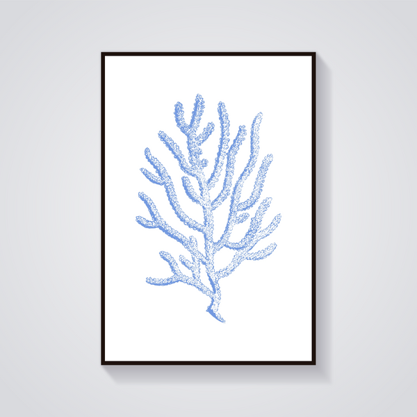 Blue Coral Sketch Poster — vista frontale