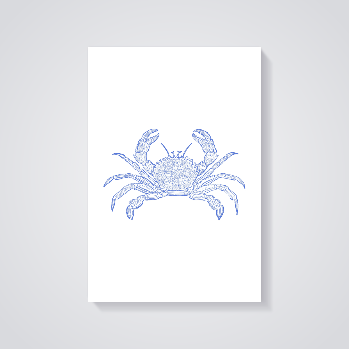 Blue Crab Coastal Poster — vista posteriore