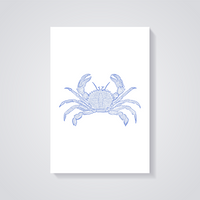 Blue Crab Coastal Poster — vista posteriore