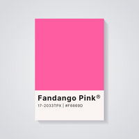 Fandango Pink Aesthetic Poster — vista posteriore