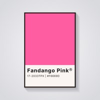 Fandango Pink Aesthetic Poster — vista frontale