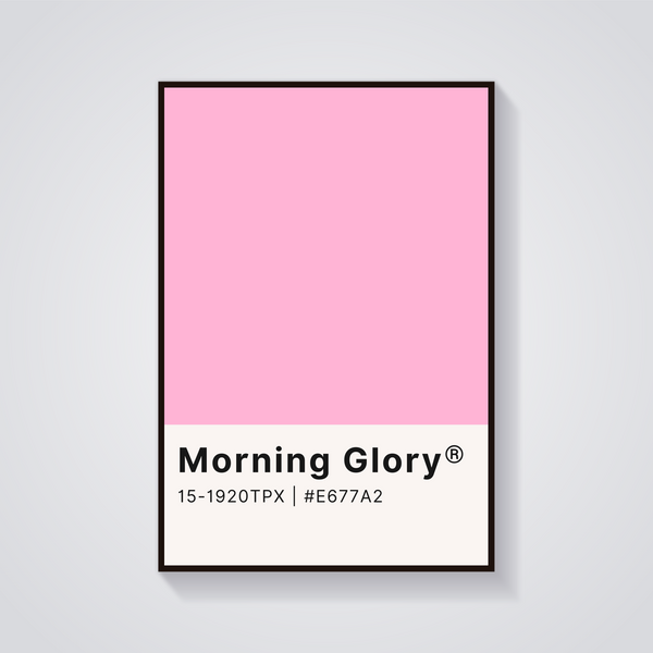 Morning Glory Pink Poster — vista frontale