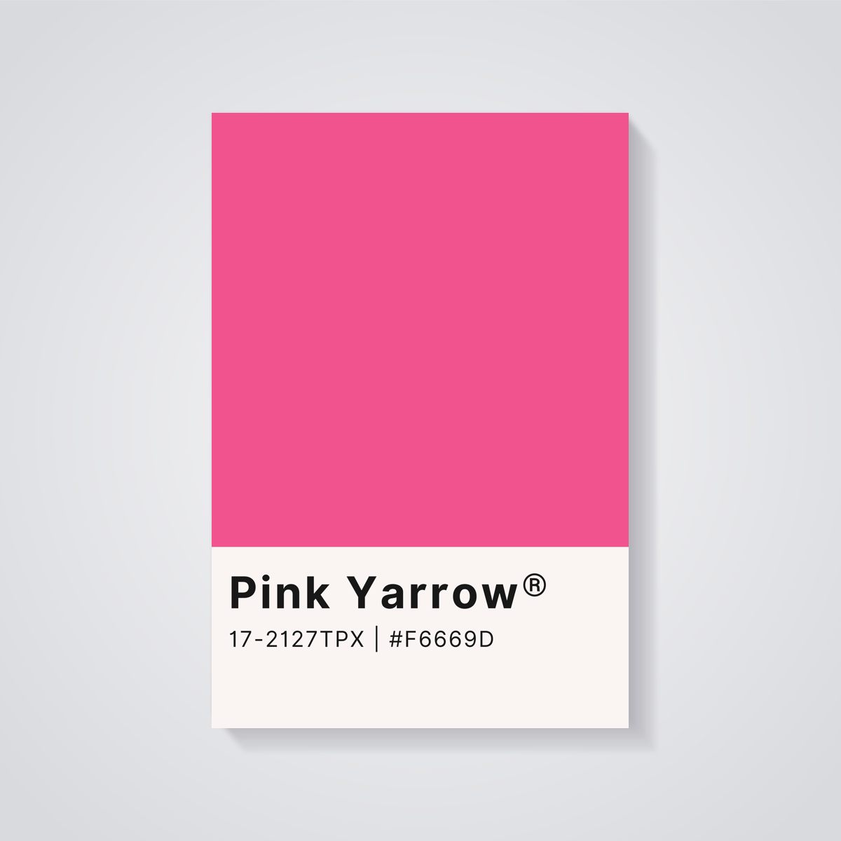 Pink Yarrow Color Poster — vista posteriore