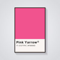 Pink Yarrow Color Poster — vista frontale