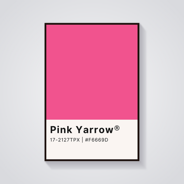 Pink Yarrow Color Poster — vista frontale