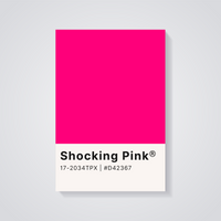 Shocking Pink Aesthetic Poster — vista posteriore