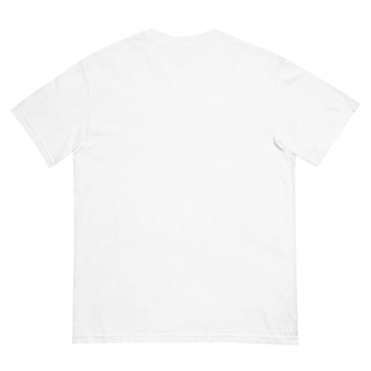 The Oasis Motel Graphic Heavyweight T Shirt — vista laterale