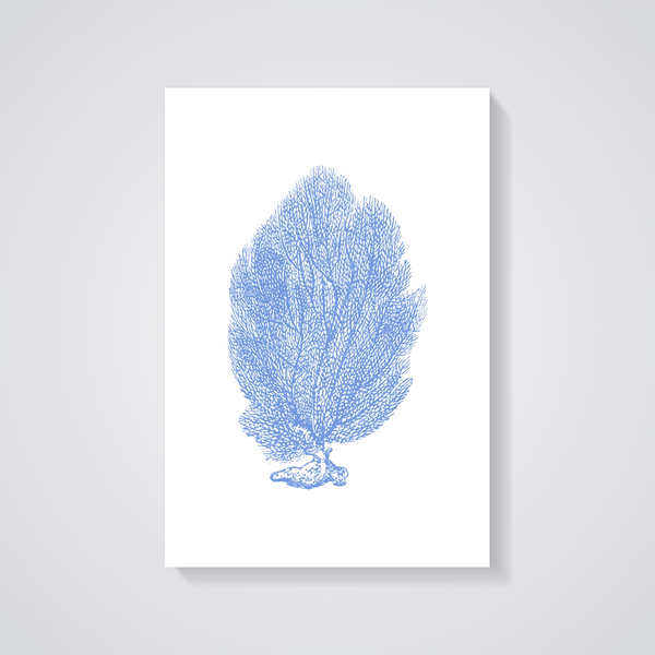 Vintage Blue Sea Fan Poster