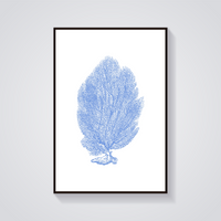 Vintage Blue Sea Fan Poster — vista frontale