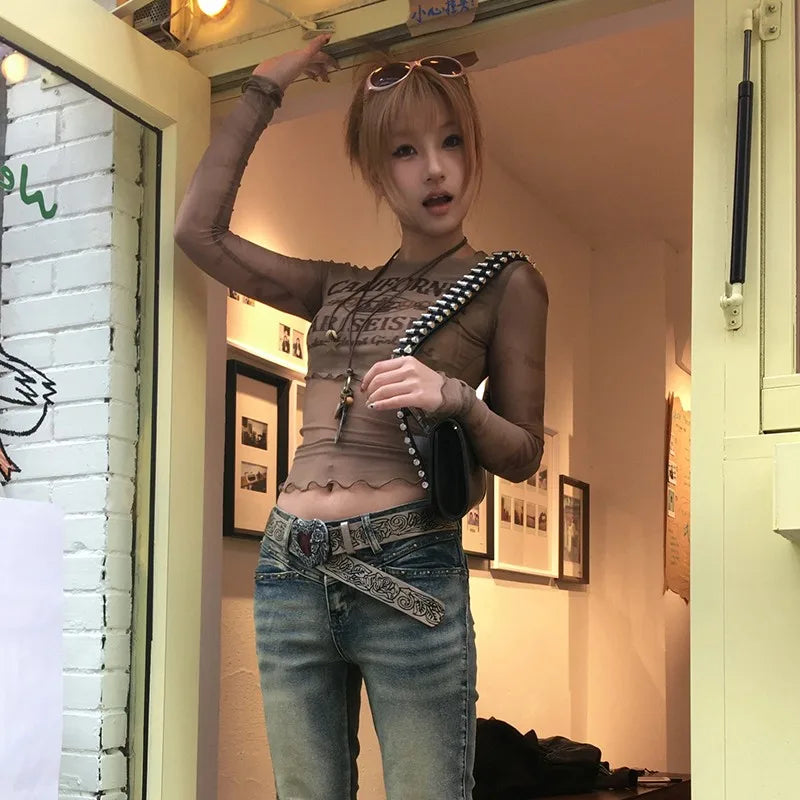 Brown Sheer Mesh Long Sleeve Top — dettaglio
