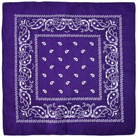 Y2K Classic Bandana Graphic