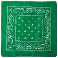 Classic Bandana Graphic — vista posteriore